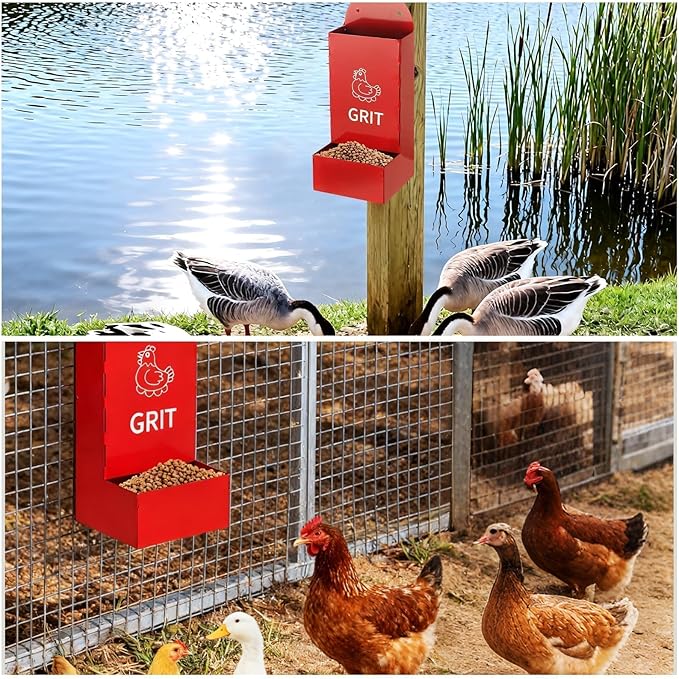 Hanging Chicken Feeder Metal (2 Pack), Wall Mounted Poultry Grit Feeder with Weatherproof Lid, Durable Chicken Coop Accessories for Chickens, Ducks, Quail, Red & Black