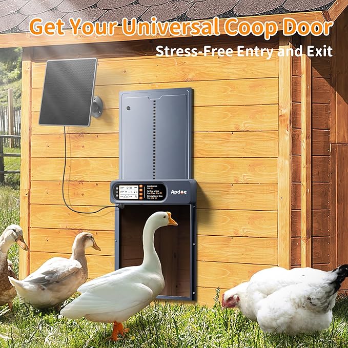 Automatic Chicken Coop Door Solar Powered with Timer, Light Sensor, Remote Control, Anti-Pinch, Waterproof, Aluminum Coop Door, 4 Auto Modes, Comfort Larger Size Duck Chicken Turkey House Door