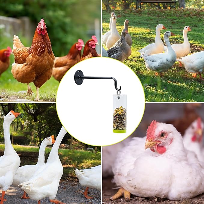 Chicken Toys for Coop, Transparent Plastic Swing Treat Dispenser with Wall-Mounted Metal Hook, Chicken Enrichment, Enrichment Toys for Hen, Duck, Goose and Other Poultry