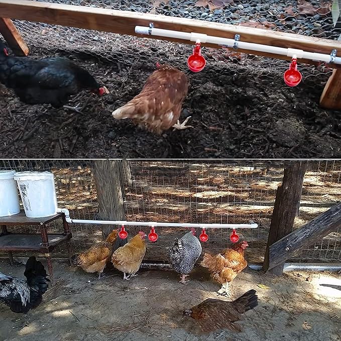 12 Pack Automatic Chicken Waterer Cups with 1/2" PVC Tee Fittings Chicken Water Cups, Chicken Water Feeder, for Chicks, Duck, Goose, Turkey. Poultry Waterer Feeder Kit
