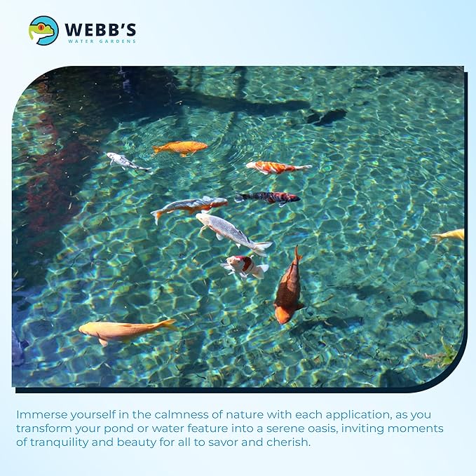 Webb's Water Garden All Season Beneficial Bacteria for Ponds, Enhances Water Clarity and Reduces Odors, Safe for Fish and Plants - 16 Ounces