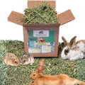 HALBY'S HAY, PREMIUM QUALITY FEED™ Premium Alfalfa Flake Hay – 1 lb Box – Farm Fresh, Sun-Cured, Feed for Rabbits, Guinea Pigs, Chinchillas & Small Pets – Soft, Green, Box-Packed USA Grown