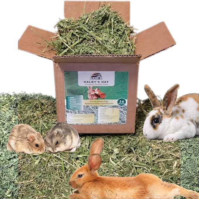 HALBY'S HAY, PREMIUM QUALITY FEED™ Premium Alfalfa Flake Hay – 1 lb Box – Farm Fresh, Sun-Cured, Feed for Rabbits, Guinea Pigs, Chinchillas & Small Pets – Soft, Green, Box-Packed USA Grown