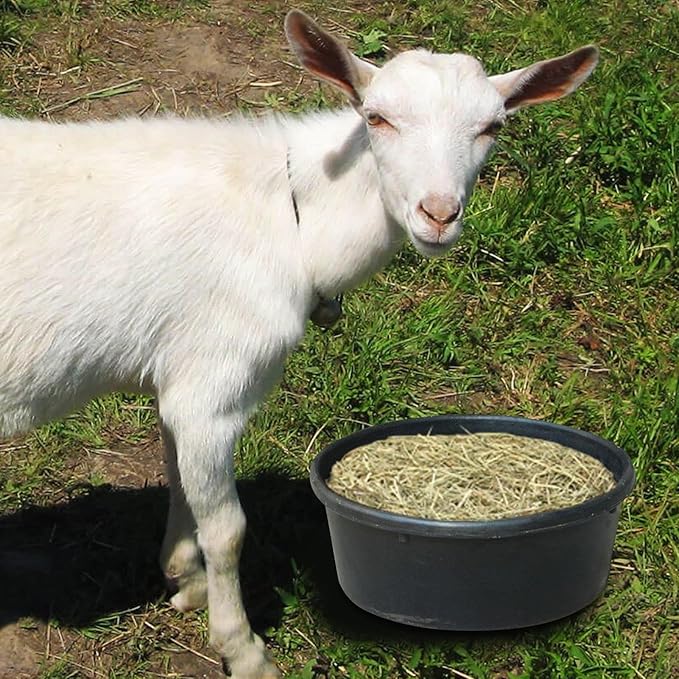 Rubber Feed Pan 4L – Modern Portable Utility Bucket, Premium, Water, Trough Food Container Dog, Cat Duck Chicken Small Animal | Dog Cat Duck Chicken Small Animal Ranch Farm Outdoor