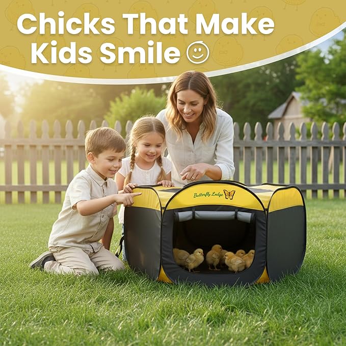 Chicken Brooder Box for Chick Starter Kit - 45" Brooder Box for Chicks - Large Chicken Brooder and Pet Tent - Brooder Box with Feeder, Waterer, and Cleaner - Chicken Box for Indoor Use