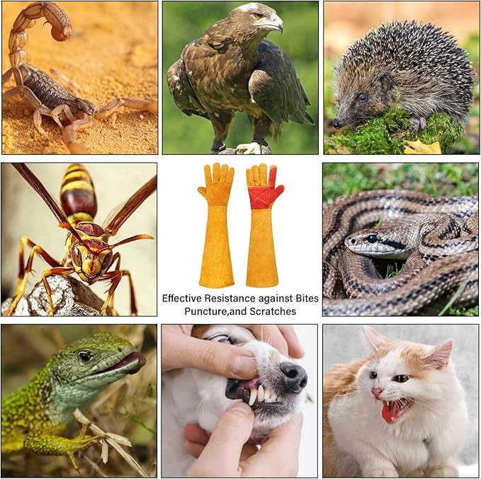 Animal Handing Gloves Bite Proof,Leather Welding Gloves,Multipurpose Puncture Proof Glove for Dog,Cat,Reptile,Snake