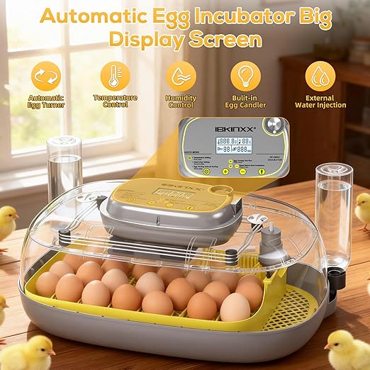 Incubator for Hatching Eggs-24 Egg Capacity, Automatic Egg Turner, Temperature & Humidity Control, 360° Viewing for Chicken, Duck and Quail Eggs
