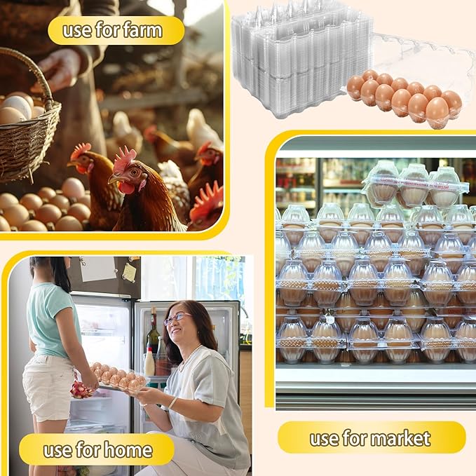 JarThenaAMCS 200Pcs Plastic Egg Carton Bulk Empty Clear Egg Tray Holder Container for Farm Business Market Home Kitchen Refrigerator Storage (2 x 6 Grids)