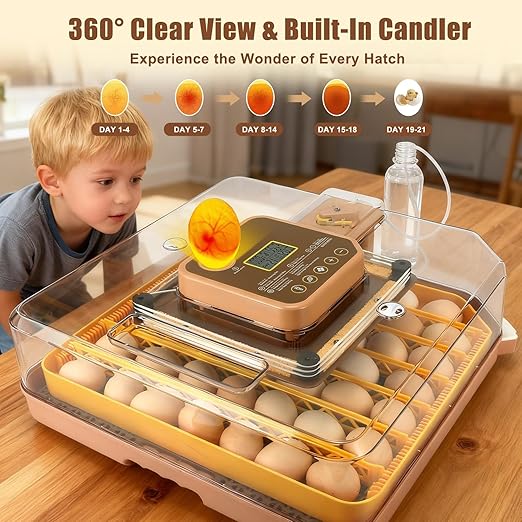 4th Gen - 48 Egg Fully Automatic Incubator, 2026 Upgraded Design, Intelligent Sensor-Based Humidity & Temp Control, Custom Days, Adjustable Auto Turning & Stop, Chick Separator, Flexible Egg Spacing