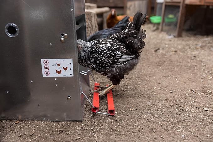 My Favorite Chicken 40lb Automatic Metal Poultry Treadle Feeder – Rust-Resistant, Self-Adjusting, and Eco-Friendly Feed Management