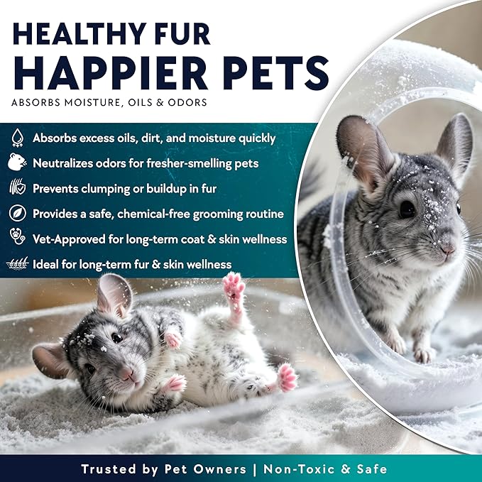 6 LB. Chinchilla Dust Bath Jar - Pure Cleansing Pumice Sand Dust for Cleaning Small Pets Like Gerbils, Mice, Degu - Premium, All Natural Dusting Powder - Chinchilla Accessories by Billy Buckskin