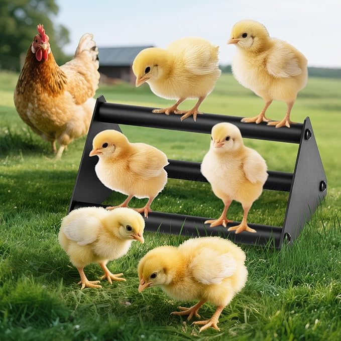 Makerfire Chicken Perch for Coop, Metal Roosting Bars for Chickens in Coop, Anti-Termite Chewing Baby Chick Perch Toys for Brooder, Training Perch Ladder for Large Bird, Parrot, Hens, Macaw (Small)