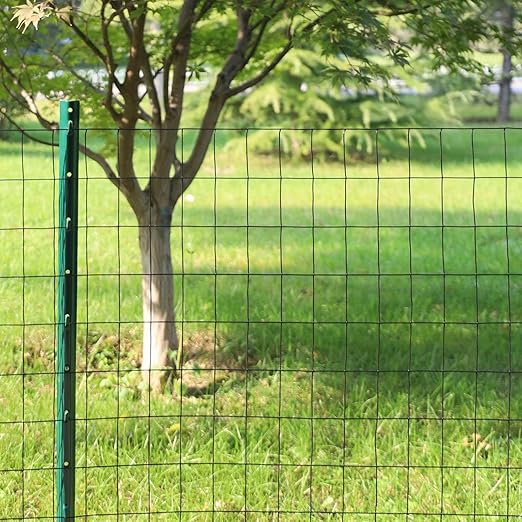Black PVC Coated Welded Wire Fence 36 Inch x 100 Foot, 2 Inch x 3 Inch 16GA, Garden Border Fencing Roll Vinyl Coating Metal Wire Mesh for Yard Vegetable Plant Protection Poultry Netting