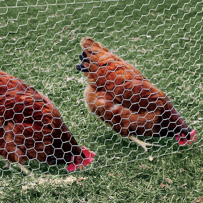 YARDGARD – 2 Inch Twisted Mesh Welded Wire Fence – 36 Inches by 150 Feet – 20 Gauge Galvanized Steel – for Poultry Netting | Chicken Coops | Garden Protection and Plant Support