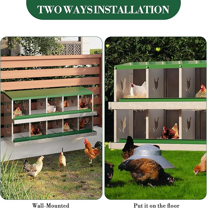 10 Holes Chicken Nesting Boxes, 2 Tiers 10 Compartments Metal Egg Laying Boxes, Wall Mount or Free Standing, Ventilated for Chickens, Hens, Ducks, Farm, Yard, Poultry Coop Accessories, Easy to Clean