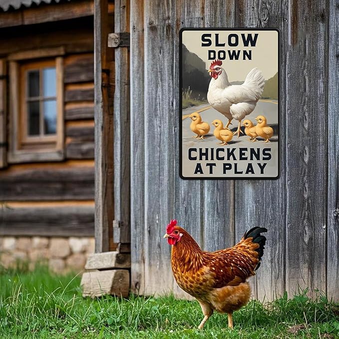 Funny Chicken Signs Slow Down Chickens At Play,chicken Crossing Aluminium Sign Metal Chicken Signs Decor Home Ktichen Farm Are Wall 12x16 Inch Chicken Signs For Coop Metal Tin Signs Poster