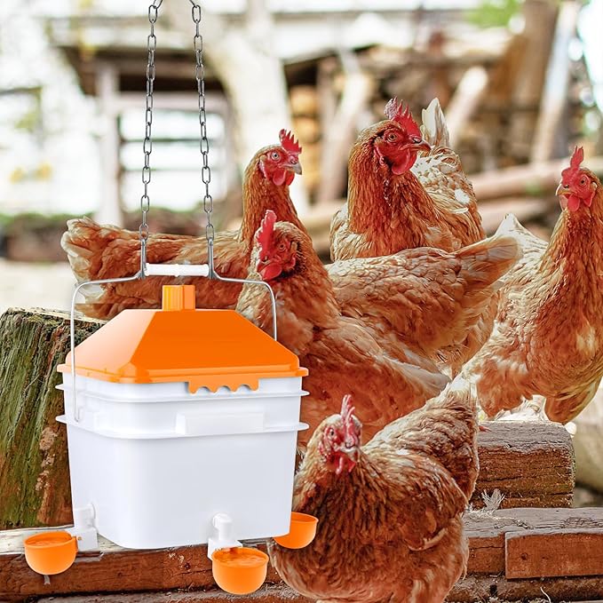 Chicken Waterer with 4 Water Cups,2 Gallons Watering Bucket with Automatic Chicken Waterers, Hanging Chicken Waterer Suitable for Chicken, Ducks, Pigeons and Quails(Orange)
