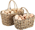 2 Pcs Eggs Collecting Baskets, Handmade Water Hyacinth Storage Basket for Gathering Fresh Eggs, Egg Holder with Handle for Harvest Farmhouse and Kitchen Use Seagrass Basket for Chicken-Egg