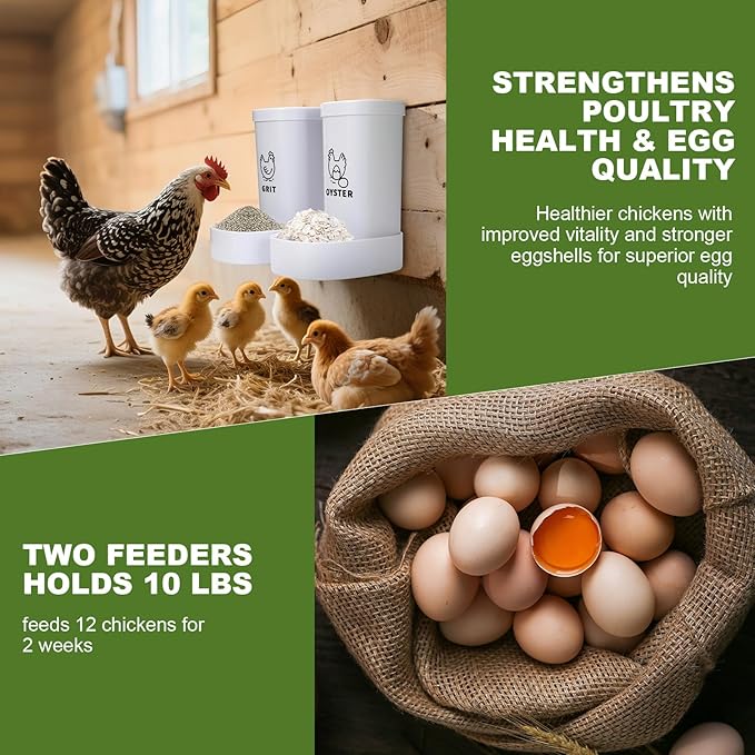 2-Pack Chicken Oyster Shell & Grit Feeder, Automatic, Hanging, Improves Eggshell Quality & Hen Health