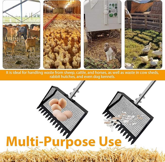 2 in 1 Chicken Poop Scooper & Rake, Chicken coop Scoop for Poop Sand with 22'' to 62" Adjustable Long Handle, Stainless Steel Sifting Shovel for Chicken Coops & Animals House
