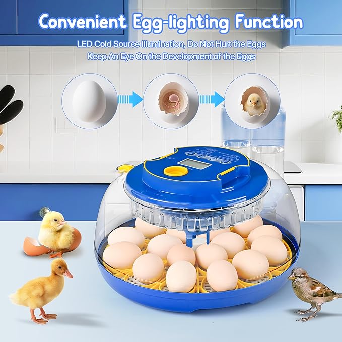 18-36 Eggs Incubators for Hatching Eggs with Automatic Egg Turning and Humidity Control, for Chicken, Duck, Quail, Goose, Parrot Eggs - 360° View for Farm, Classroom, Home Use