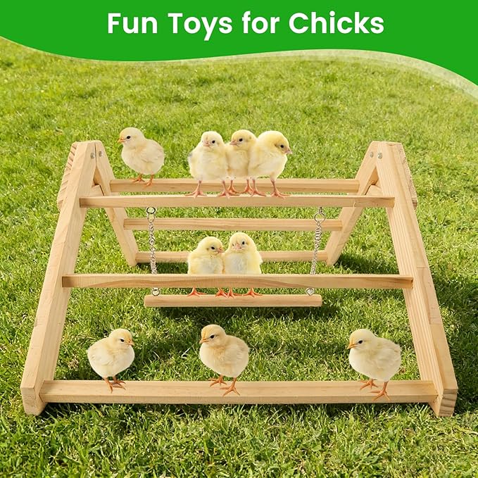 Chick Perch with Wooden Swing, Chick Roosting Bar Coop for Brooder, Chick Wooden Roosting Bar, Training Chicken Perch Fun Chicken Toys for Baby Chicks, Parakeets, Parrots