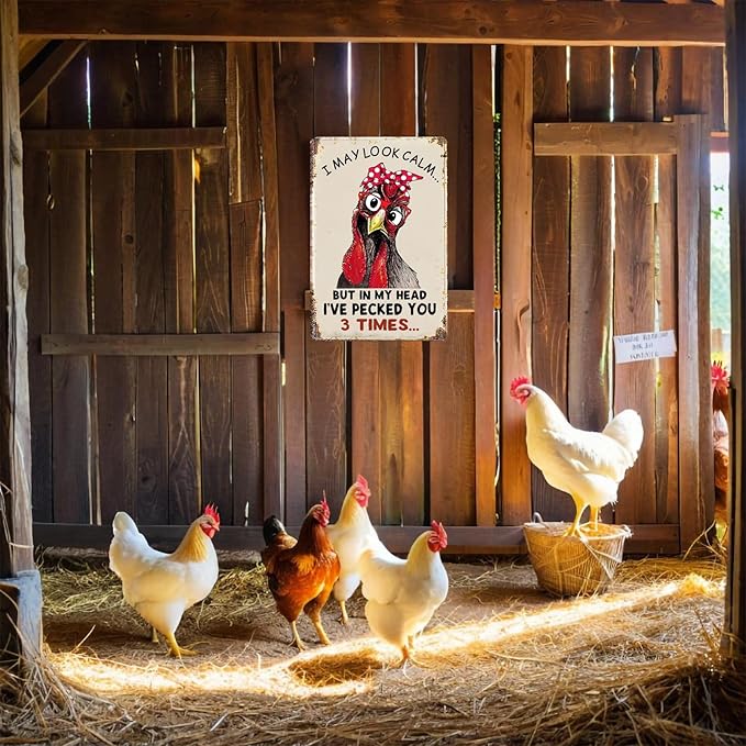 Funny Chicken Decor for Home Chicken Coop Farm Vintage Metal Chicken Signs