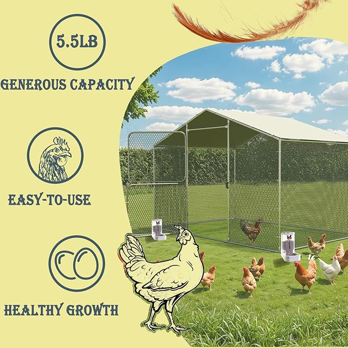 5.5lb Grit Oyster Shell for Chickens Feeder: Chicken Coop Accessories Little Giant Poultry Feeder