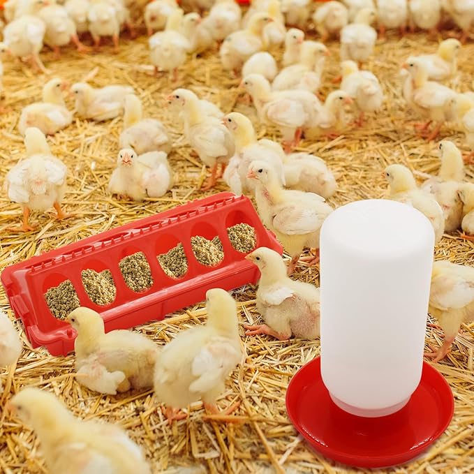 Chicken Feeder and Waterer kit-Flip Top Chick Feeder with 12 Feeding Hole and 1 L Plastic Waterer,Baby Chick Starter Kit for Small Poultry