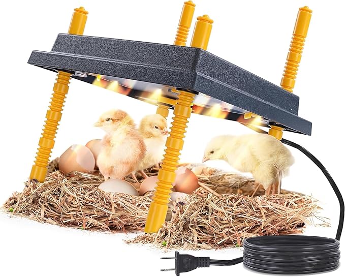 Premier 1 Chick Brooder Heating Plate with Adjustable Legs | 12" x 12" | Warms Up to 20 Chicks
