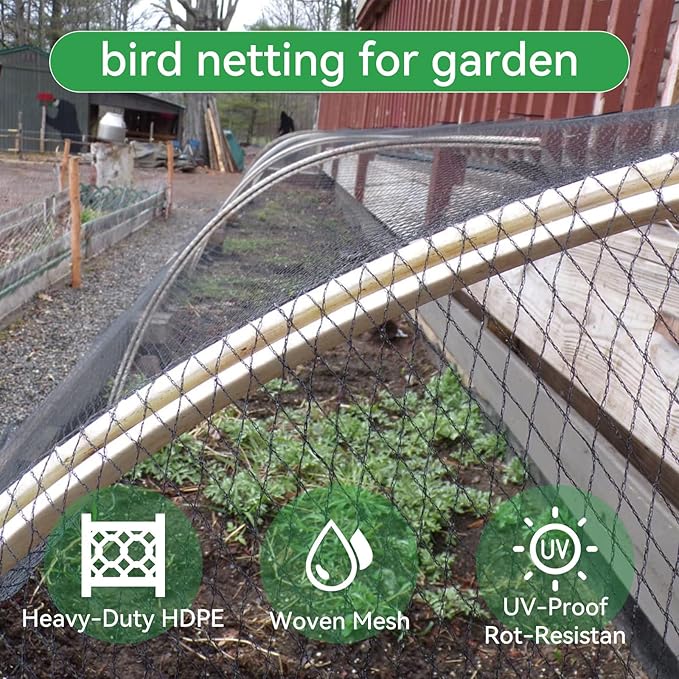 Heavy Duty Bird Netting 10x30Ft – Chicken Netting & Poultry Netting for Coops, 1/2" UV-Resistant Mesh | Blocks Squirrels, Hawks, Berry & Koi Pond Netting