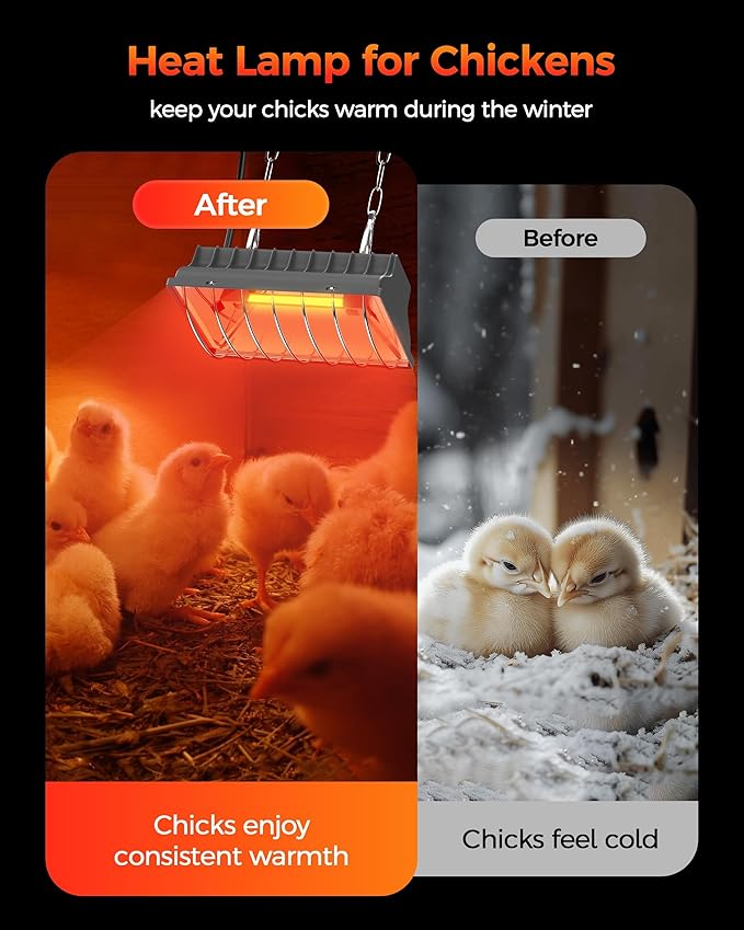 Heat Lamp for Chicken Coop, 250W Waterproof Brooder Heater for Indoor & Outdoor Used, Infrared Heat Lamp with Adjustable Temp & Height, Ideal for Poultry, Livestock & Small Pets