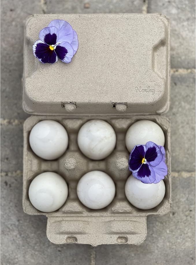 Henlay Half Dozen Duck Egg Cartons – Holds 6 Jumbo Eggs – Blank Top for Custom Labels – Eco-Friendly Paper Pulp – Ideal for Farm Fresh or Backyard Eggs - 20 Pack