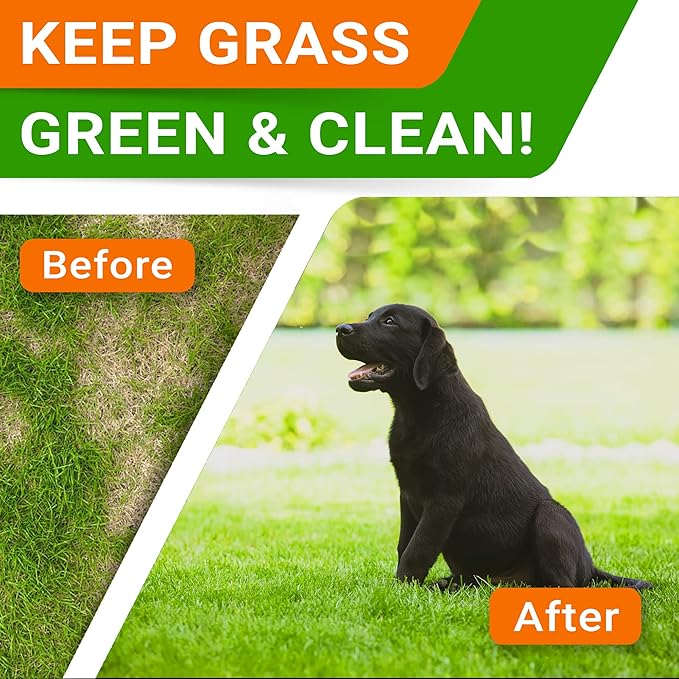 STRELLALAB Green Grass Chews - Pee Grass Spot Saver Caused by Dog Urine - Urine Neutralizer for Lawn, Gut Health Probiotics & Digestive Enzymes,Lawn Burn from Dog Urine, Grass Burn Spot Chews