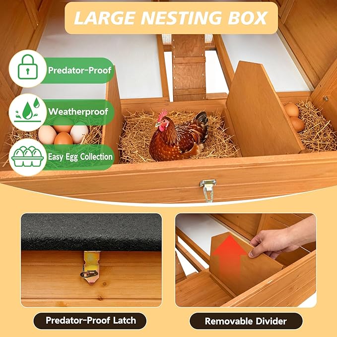 Pavilion 70" Large Outdoor Wood Chicken Coop for 6-8 Hens, with 2 Nesting Boxes, Leakproof Pull-Out Tray & PVC Curtains, Secure Walk-in Run with UV-Resistant Roof for Backyard Poultry