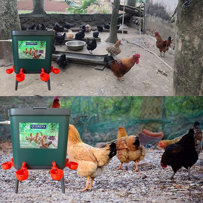 Automatic Chicken Waterer Self-Filling Float Controlled Poultry Water Feeder 4 Gallon Free-Standing Chicken Water Fountain Dispenser Auto Chicken Watering System Pigeon Bird with Hose and Water Cups