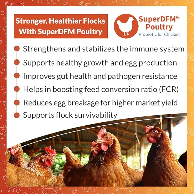 SuperDFM Poultry - All-Natural Probiotics for Chickens, Ducks, Quails & More - Poultry Supplements for Digestive & Immune Support - Makes 120 Gallons - 4.7oz (135g)