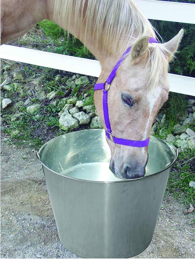 Little Giant® Stainless Steel Dairy Pail | Galvanized Metal Utility Bucket with Handle for Gardening & Farming | Cow Pail | 20 Quart
