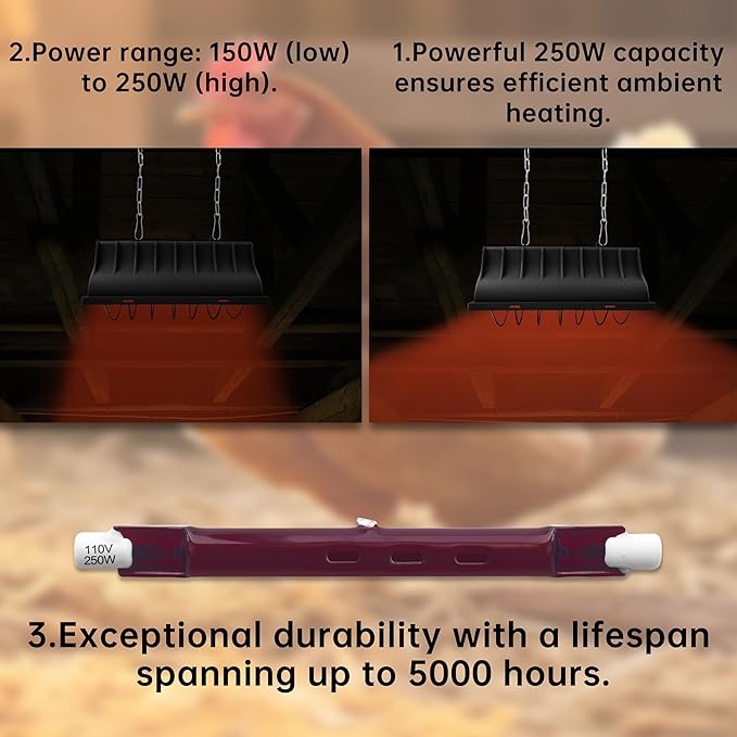 JUSONEY 250WBrooder Heater Replacement Bulb, 4000-5000 Hours Work, Brooder Heater for Chicks or Pets, Accessories