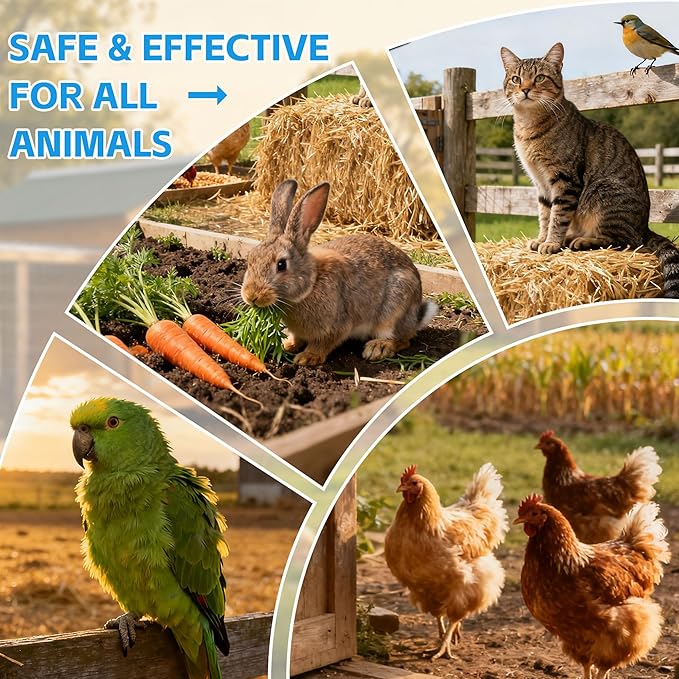 Chicken Wound Spray – Poultry Care & Healing Aid for Wounds, Pecking Injuries, Bumblefoot, Cuts & Burns – Skin Repair for Vent Prolapses – 300ml