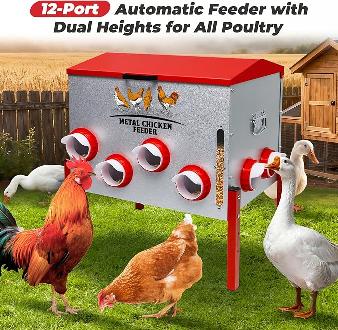 Automatic Chicken Feeder 100LBS Large Capacity, 12 Anti-Waste Ports Metal Poultry Feeder with Height Adjustable Stand, Waterproof Rodent Proof Feed Box with Lid Viewing Window for Hens Ducks Geese
