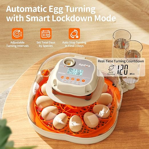 Chicken & Quail Egg Incubator, 2 Egg Trays, Automatic Egg Turning with Auto Stop, Humidity Control, Adjustable Incubation Day & Period, Auto Water Refill, Egg Candler, Clear View, APDOE HatchElite 12