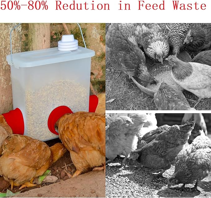 No-Waste Automatic Chicken Feeder – Gravity Feed Port Kit for Buckets & Barrels, Reduces Feed Spillage, Outdoor Poultry Feeder DIY Farm Supply