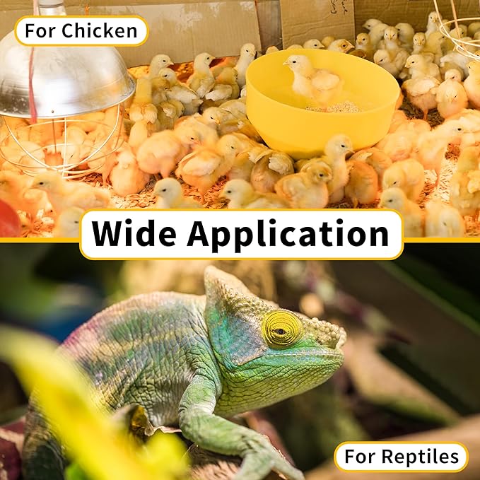 250 Watt Heat Lamp Bulbs, Clear Incandescent Heating Outdoor Light Bulb for Bathroom, Shower, Chickens, Chicks, Ceiling, Reptile, Food, Plants, Medium E26 Base - 6 Pack