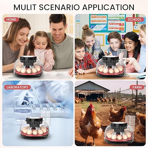 12 Egg Incubator for Hatching Chicken/Quail/Duck Eggs, Auto Turning, Digital Humidity/Temp Control, LED Candler, Auto Water Refill, 360° View (Smart Sensor)