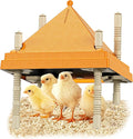 Brooder Plate for Chicks,10" x 10" Heat Plate for Chicks with Triangular Cone Anti-Perch Design（Orange）