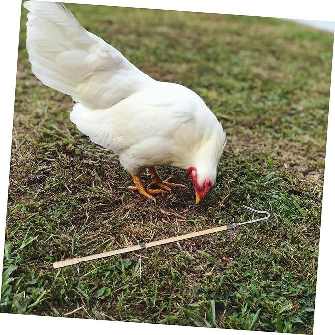 ibasenice Chicken Catching Artifact Feeding Net for Chicken Cat Net Catcher Chicken Slaughter Hook Chicken-catching Leg Hook Chicken Grabber Tool Catch Hook Duck Pole Stainless Steel Silver