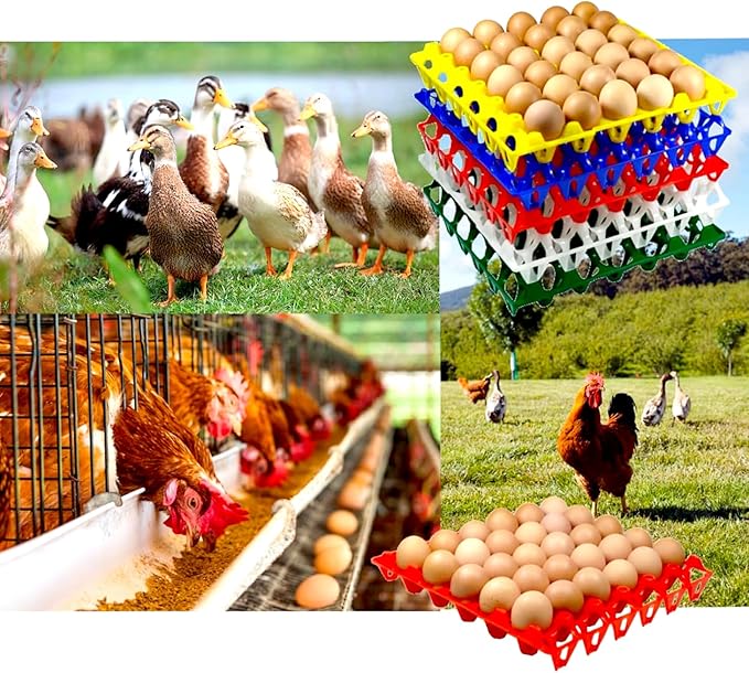 15-Pack Reusable Plastic Egg Tray Egg Crates 30-Egg Flats for Home Chicken Farmers, Stackable Egg Cartons Hold Multiple Eggs, Great for Storing, Sorting, and Shipping Eggs, Durable and Reusable