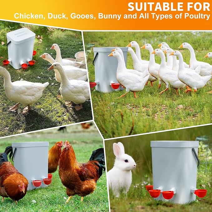 Chicken Water Cups 12 Pack, Automatic Filling Waterer Feeder Bowl, Gravity Poultry Watering System, Chicken Water Dispenser, Chicken Coop Accessories for Hens, Duck, Goose, Turkey (Red)