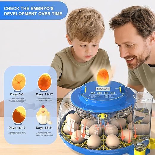18 Egg Incubator for Hatching Chicken, Duck, Quail Eggs – 360° Visible Lid, Automatic Turning & Humidity Control, Built-in Egg Candler – Ideal for Home & Classroom Science Projects